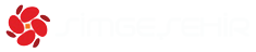 logo-img